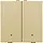 Niko 221-52202 drukknop 2-voudig met LED en comfortsensoren voor Niko Home Control gold coated