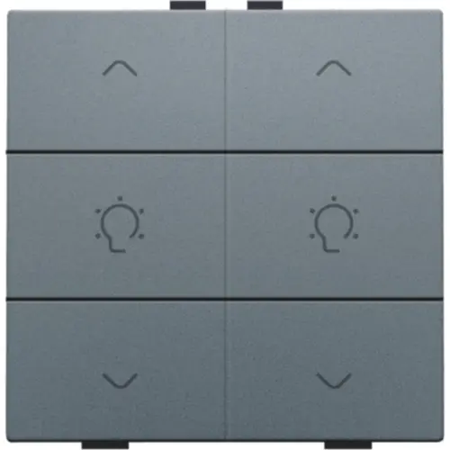 Niko 220-51046 dimbediening 2-voudig met symbool voor Niko Home Control blue grey coated