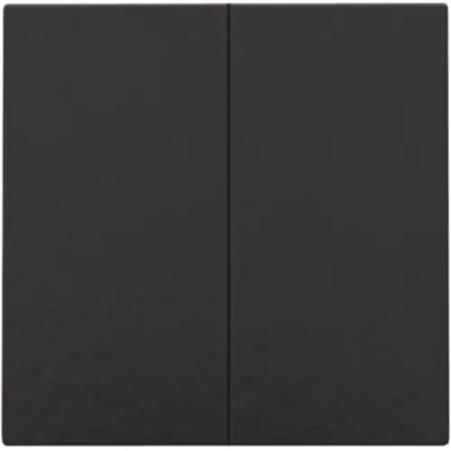 Niko 200-51002 drukknop 2-voudig voor Niko Home Control piano black coated