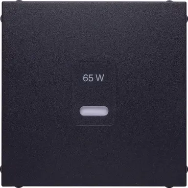 Berker 48601606 centraalplaat voor USB-lader type C S1/B3/B7 antraciet mat