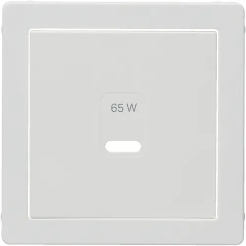 Berker 48606089 centraalplaat voor USB-lader type C Q.1/Q.3/Q.7 wit