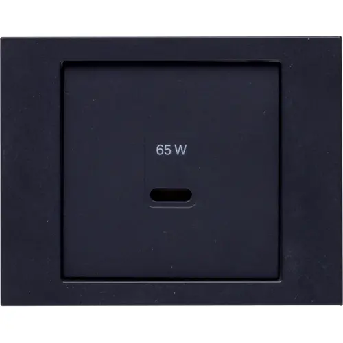 Berker 48607006 centraalplaat voor USB-lader type C K.1 antraciet