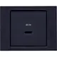 Berker 48607006 centraalplaat voor USB-lader type C K.1 antraciet