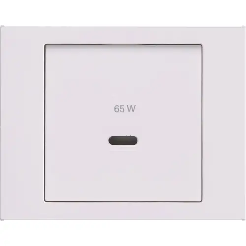 Berker 48607009 centraalplaat voor USB-lader type C K.1 wit