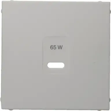 Berker 48608989 centraalplaat voor USB-lader type C S1/B3/B7 wit glans