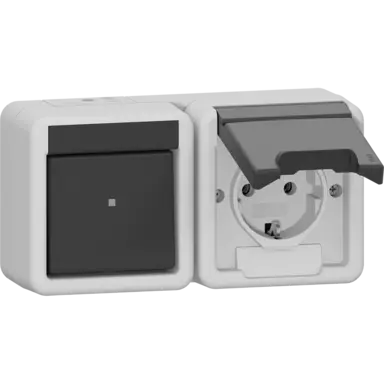 Gira 417730 combinatie schakelaar en wandcontactdoos randaarde klapdeksel horizontaal opbouw IP44