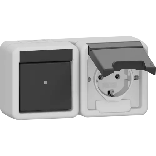 Gira 417730 combinatie schakelaar en wandcontactdoos randaarde klapdeksel horizontaal opbouw IP44