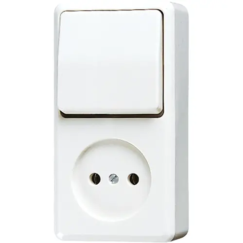JUNG 646 A WW opbouw combinatie wisselschakelaar/wandcontactdoos zonder randaarde AP600 alpine wit