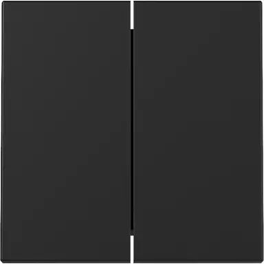 Gira 3295005 schakelwip 2-voudig Systeem 55 zwart mat