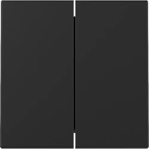 Gira 3295005 schakelwip 2-voudig Systeem 55 zwart mat