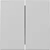 Gira 3295015 schakelwip 2-voudig Systeem 55 grijs mat