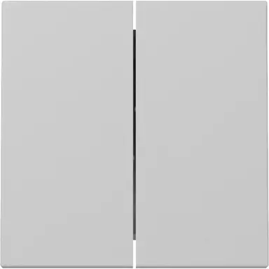 Gira 3295015 schakelwip 2-voudig Systeem 55 grijs mat