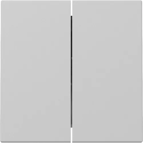 Gira 3295015 schakelwip 2-voudig Systeem 55 grijs mat