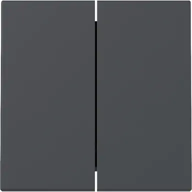 Gira 329528 schakelwip 2-voudig Systeem 55 antraciet mat