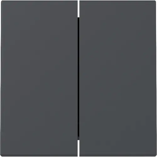 Gira 329528 schakelwip 2-voudig Systeem 55 antraciet mat