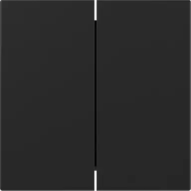 Gira 3495005 schakelwip 2-voudig rechtstaand Systeem 55 zwart mat