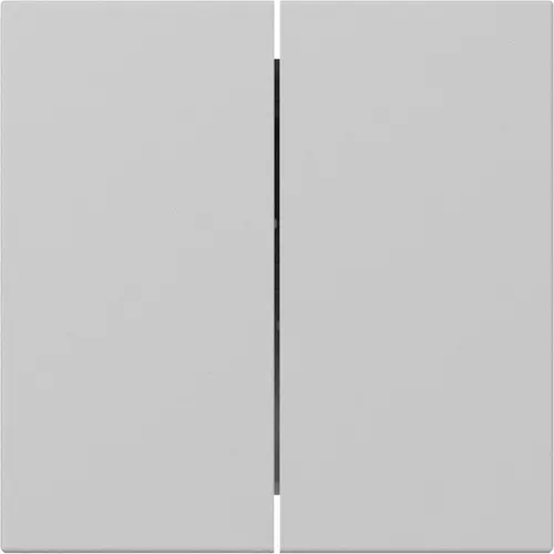 Gira 3495015 schakelwip 2-voudig rechtstaand Systeem 55 grijs mat