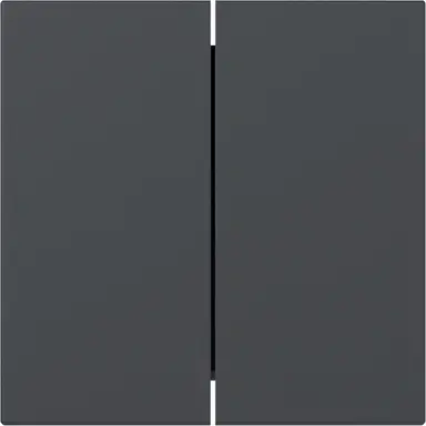 Gira 349528 schakelwip 2-voudig rechtstaand Systeem 55 antraciet mat