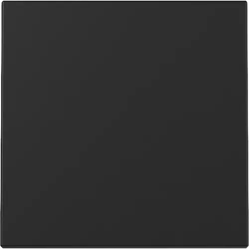 Gira 3296005 schakelwip Systeem 55 zwart mat