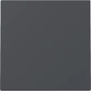 Gira 329628 schakelwip Systeem 55 antraciet mat