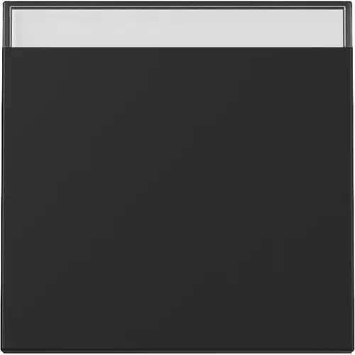Gira 3299005 schakelwip met tekstkader Systeem 55 zwart mat
