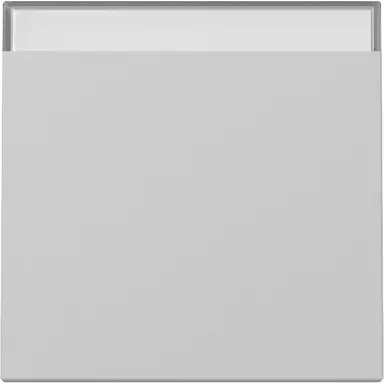 Gira 3299015 schakelwip met tekstkader Systeem 55 grijs mat