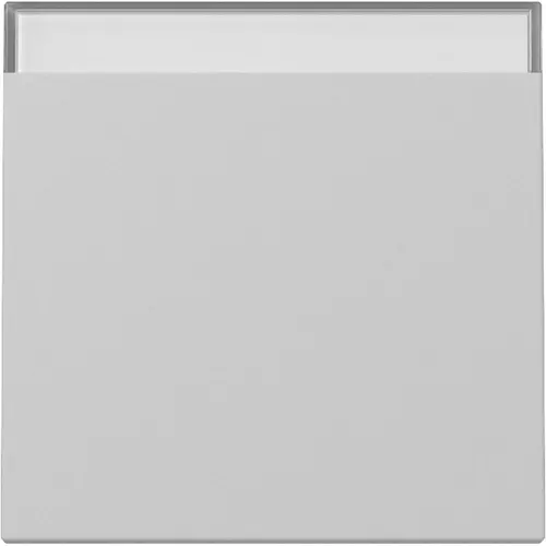 Gira 3299015 schakelwip met tekstkader Systeem 55 grijs mat
