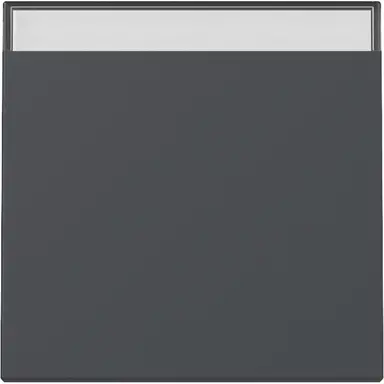 Gira 329928 schakelwip met tekstkader Systeem 55 antraciet mat