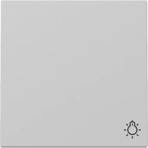 Gira 3285015 schakelwip met symbool licht Systeem 55 grijs mat