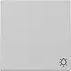 Gira 3285015 schakelwip met symbool licht Systeem 55 grijs mat