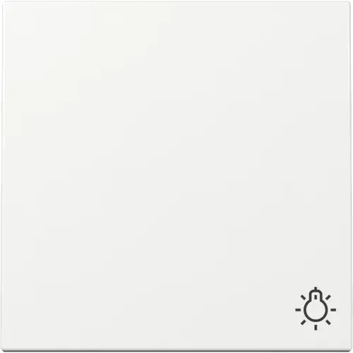 Gira 328503 schakelwip met symbool licht Systeem 55 wit glans