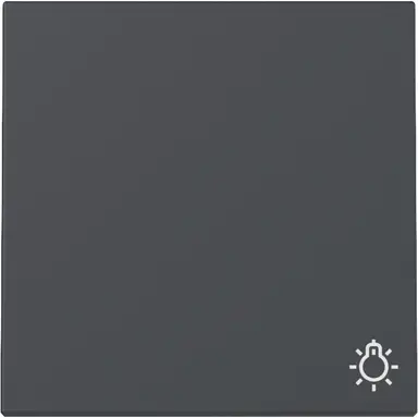 Gira 328528 schakelwip met symbool licht Systeem 55 antraciet mat