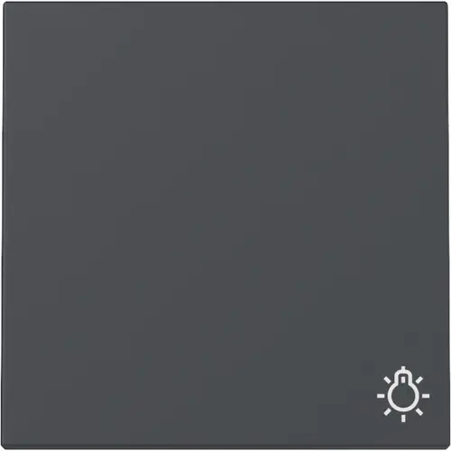 Gira 328528 schakelwip met symbool licht Systeem 55 antraciet mat