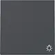 Gira 328528 schakelwip met symbool licht Systeem 55 antraciet mat