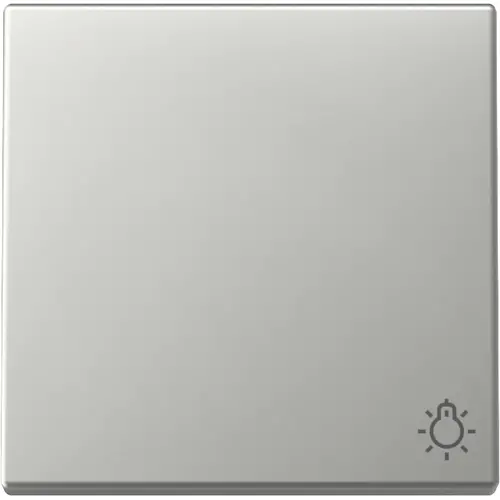Gira 3285600 schakelwip met symbool licht Systeem 55 edelstaal