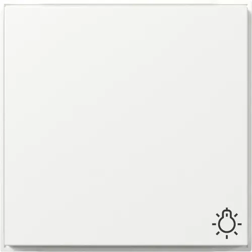 Gira 328566 schakelwip met symbool licht TX44 wit
