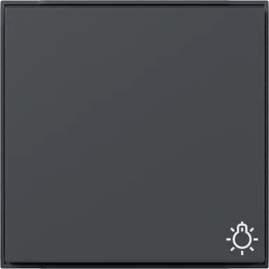 Gira 328567 schakelwip met symbool licht TX44 antraciet