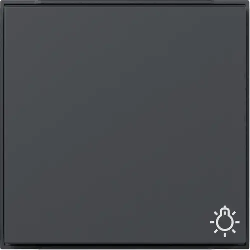 Gira 328567 schakelwip met symbool licht TX44 antraciet
