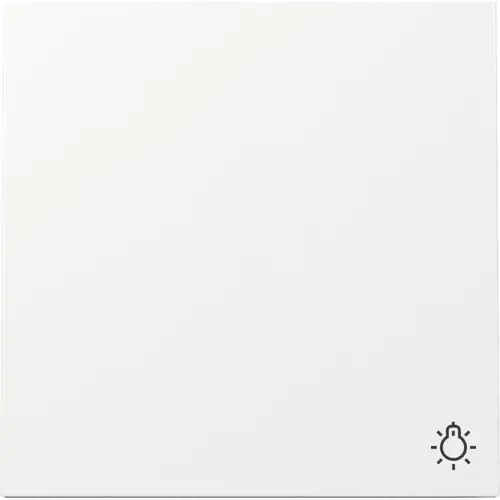 Gira 328570 schakelwip met symbool licht F100 wit glans