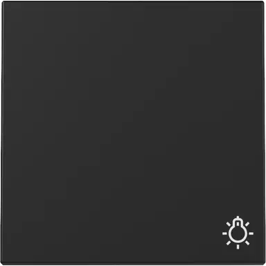 Gira 3285005 schakelwip met symbool licht Systeem 55 zwart mat