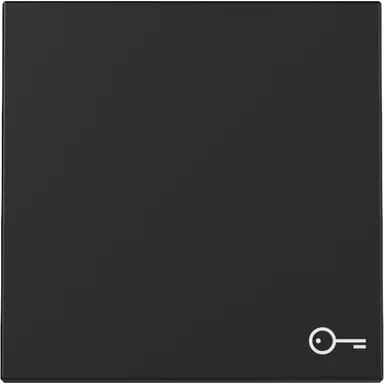 Gira 3287005 schakelwip met symbool deur Systeem 55 zwart mat