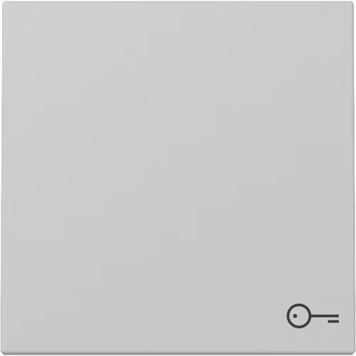 Gira 3287015 schakelwip met symbool deur Systeem 55 grijs mat