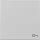 Gira 3287015 schakelwip met symbool deur Systeem 55 grijs mat