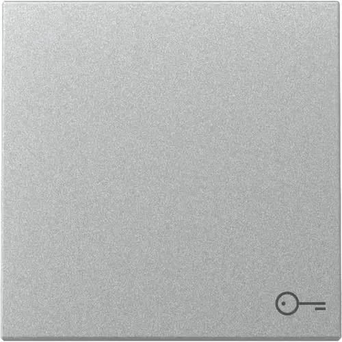 Gira 328726 schakelwip met symbool deur Systeem 55 aluminium mat