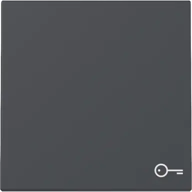 Gira 328728 schakelwip met symbool deur Systeem 55 antraciet mat