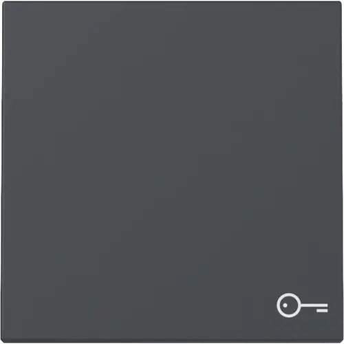 Gira 328728 schakelwip met symbool deur Systeem 55 antraciet mat