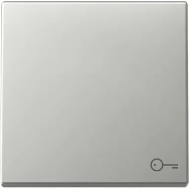 Gira 3287600 schakelwip met symbool deur Systeem 55 edelstaal