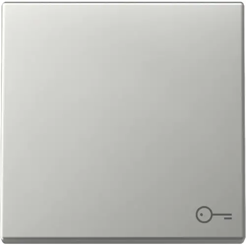 Gira 3287600 schakelwip met symbool deur Systeem 55 edelstaal