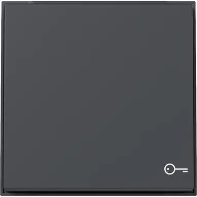 Gira 328767 schakelwip met symbool deur TX44 antraciet