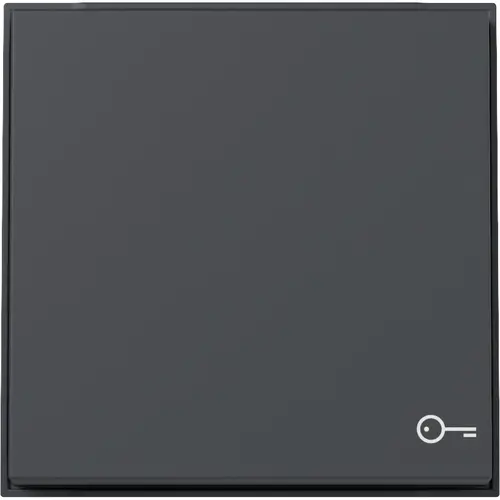 Gira 328767 schakelwip met symbool deur TX44 antraciet